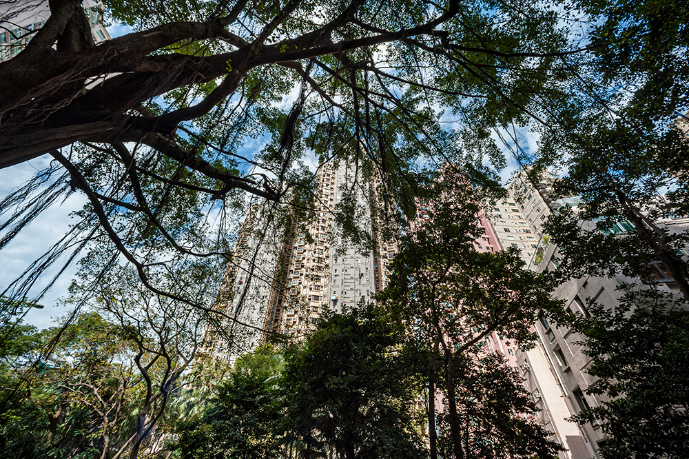 Hongkong__ASC0710_schulthess foto