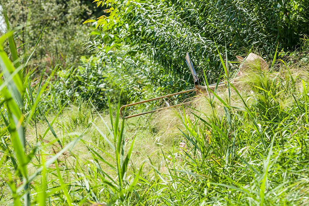 _DSC3246_131229_schulthess foto