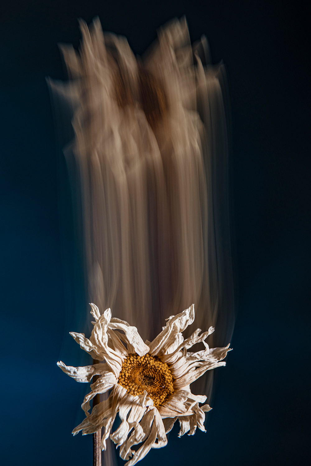 __BDS3152_schulthess foto